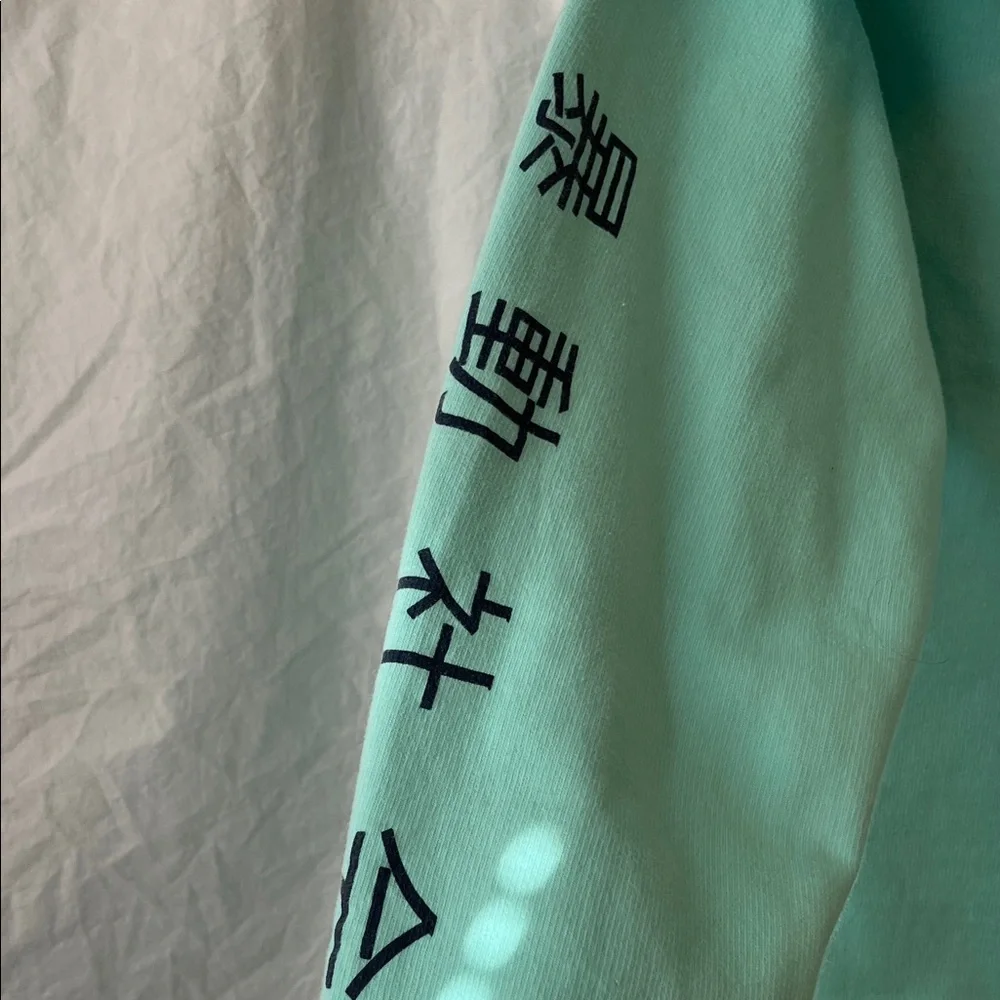 Riot Society Mint Green Graphic Hoodie Size XL